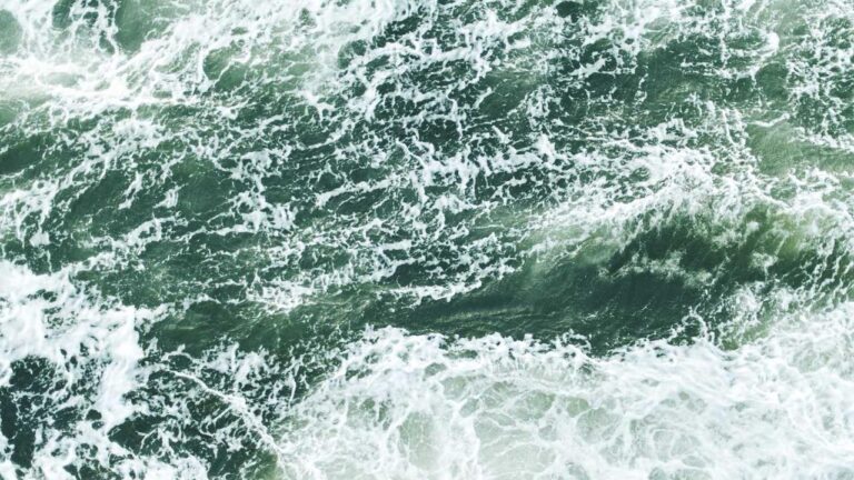 Is Cricbet99 Safe Or Not For New Users?